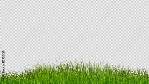 Green grass beautiful vector isolated on transparent background ,Vector illustration EPS 10