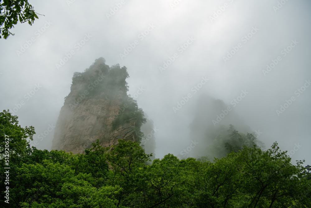 Horizontal image of Avatar mountains in dense fog in Zhangjiajie, Hunan, China shot from the bottom 
