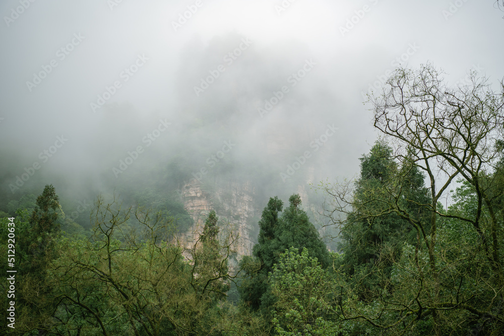 Avatar mountains in dense fog in Zhangjiajie, Hunan, China, green forest, horizontal image with copy space Avatar mountains in dense fog in Zhangjiajie, Hunan, China, green forest, horizontal image with copy space