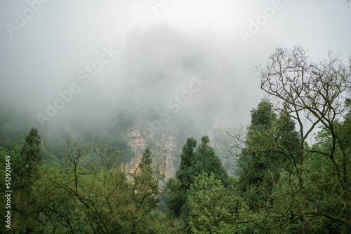 Avatar mountains in dense fog in Zhangjiajie, Hunan, China, horizontal image, copy space for text 