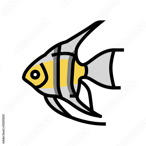 angelfish aquarium fish color icon vector. angelfish aquarium fish sign. isolated symbol illustration