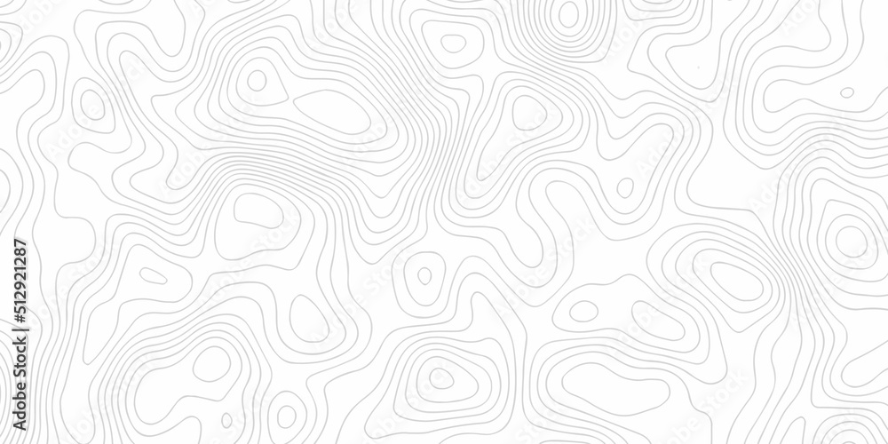 Topographic background and texture, monochrome image. 3D waves. Cartography Background, White wave paper curved reliefs abstract background,. Topographic background and texture, monochrome image. 3D waves. Cartography Background, White wave paper curved reliefs abstract background,.