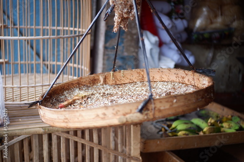  egg ant or telur semut rangrang atau semut merah or kroto makanan burung
