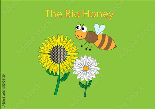 Disegno con un ape e due fiori su sfondo verde per etichetta miele biologico.