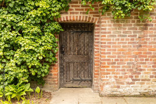 rustic brown detailed door of a brick building covered in climbing ivy © © Raymond Orton