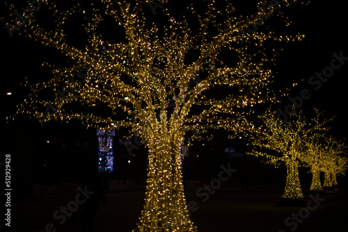 Wood in garlands at night. Park decoration. Lots of lights on tree.