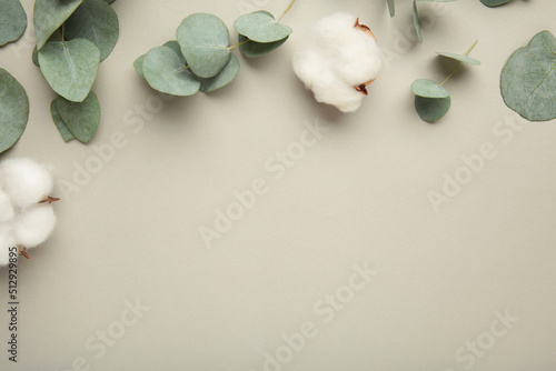 Flowers composition. Cotton flowers and eucalyptus branches on grey background.