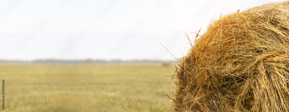 Haystack on the field. Harvest concept. Banner Haystack on the field. Harvest concept. Banner