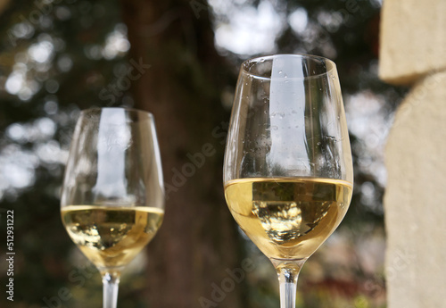 Close-up with glasses of white wine in natural environment