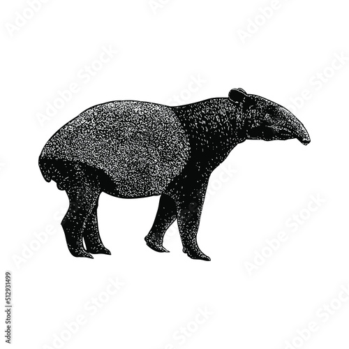 tapir hand drawing vector illustration isolated on background