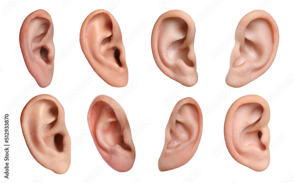 Human ears on white background, collage. Organ of hearing and balance - obrazy, fototapety, plakaty 