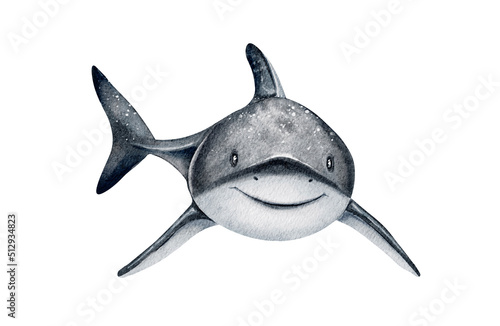 Photography Watercolor baby shark illustration