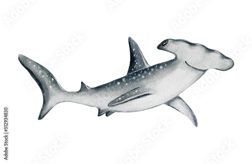Photography Watercolor baby shark illustration