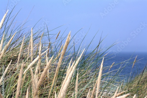 View through dune grass over the North Sea near Rantum on the island of Sylt - Blick durch D  nengras auf die Nordsee bei Rantum auf Sylt