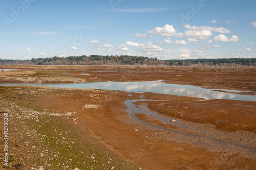 Stream, stones and muds of dry Nisqually river estuary in the Billy Frank Jr. Nisqually National Wildlife Refuge, WA, USA