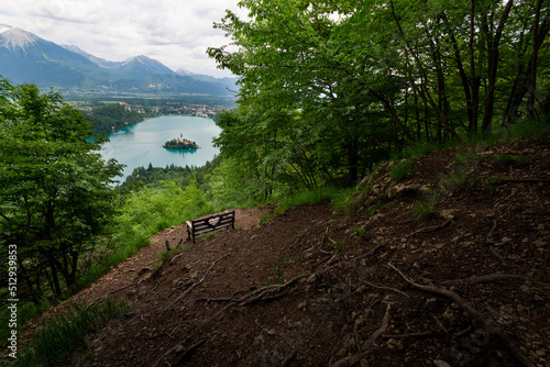 lake and mountains with forest and bench in foreground
