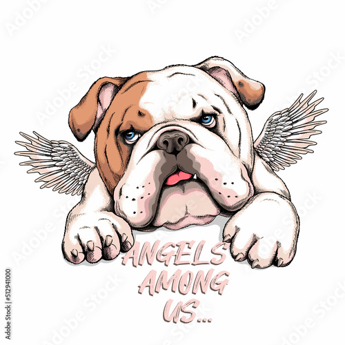 Cute english bulldog puppy with angel wings. Vector illustration in hand-drawn style. Stylish image for printing on any surface	