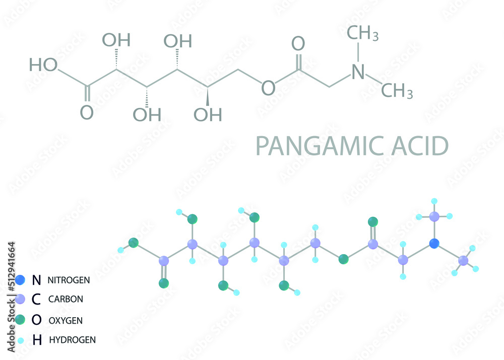 Pangamic acid molecular skeletal 3D chemical formula.
Pangamic acid molecular skeletal 3D chemical formula.