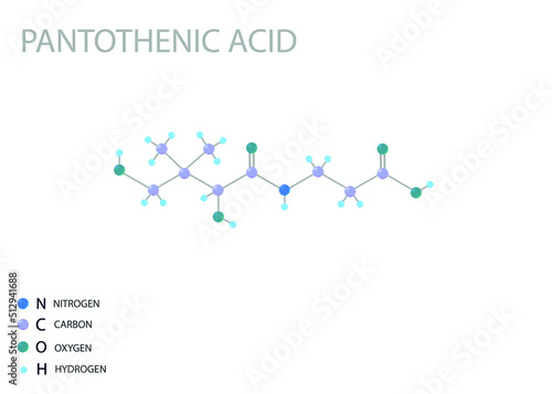 Pantothenic acid molecular skeletal 3D chemical formula.	
 photo