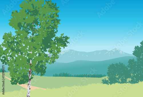 白樺の丘(横長レイアウト）のイラスト