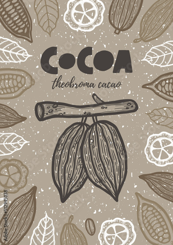 Hand drawn chocolate cocoa beans tree grunge style ink lettering poster. Theobroma banner engraved drawing of leaves. Vintage stylized ink cacao pods background, banner template design
