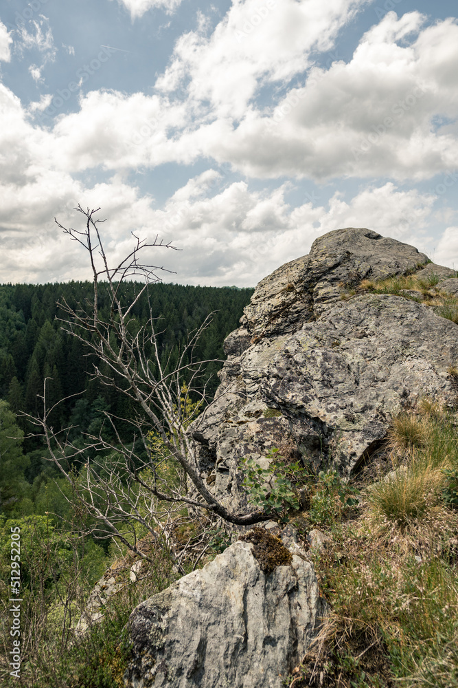 Fototapeta premium Ehrensteinley Panorama Monschau Felsformation im Sommer