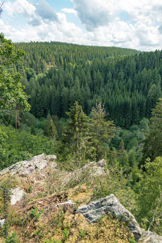 Ehrensteinley Panorama Monschau Felsformation im Sommer