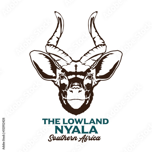 Nyala face vector illustration in hand drawn style, perfect for tshirt design and mascot logo photo