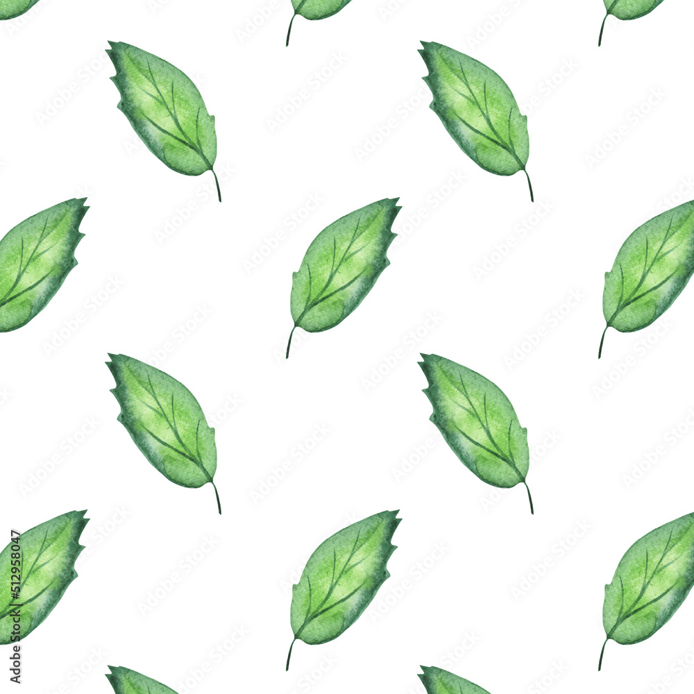 Simple and cute green watercolor leaves pattern. Spring branches and leaves isolated on white background. Real watercolor painting. Simple and cute green watercolor leaves pattern. Spring branches and leaves isolated on white background. Real watercolor painting.
