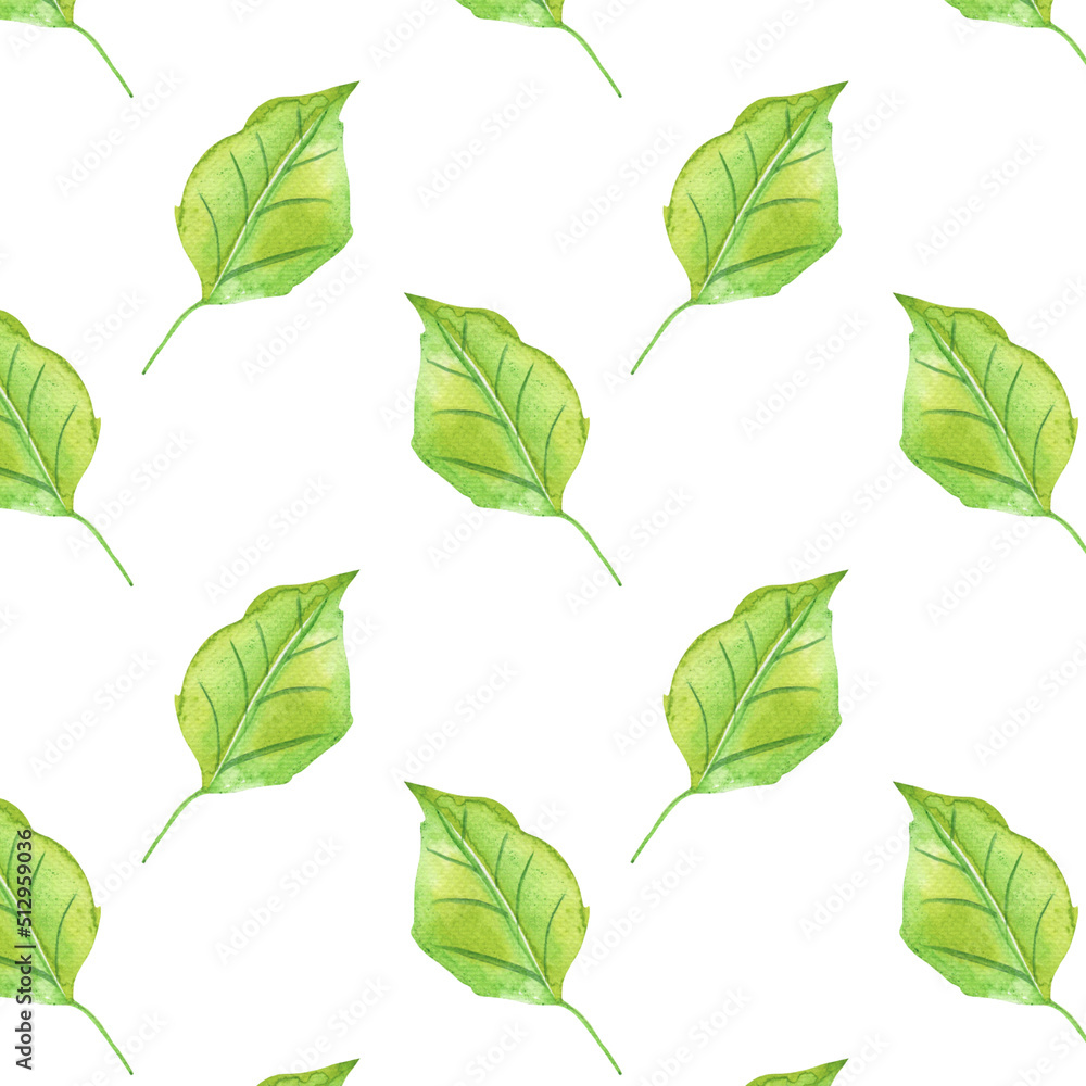 Simple and cute green watercolor leaves pattern. Spring branches and leaves isolated on white background. Real watercolor painting. Simple and cute green watercolor leaves pattern. Spring branches and leaves isolated on white background. Real watercolor painting.