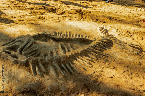 Fossilized bones of a skeleton in the sand. © Mikhail Galyshev