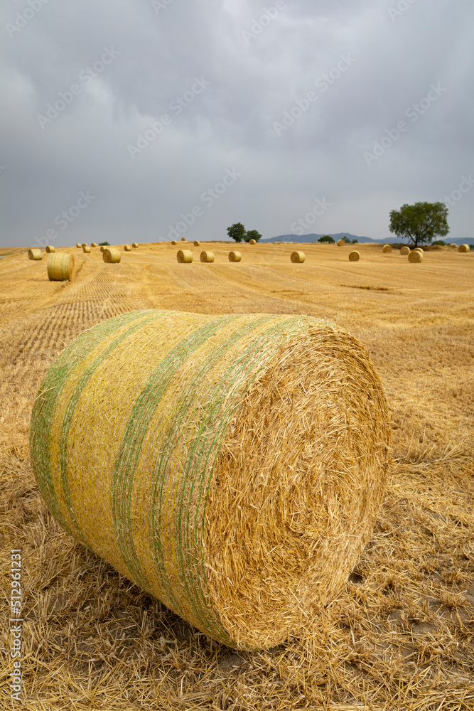 Bala redonda de heno (paja) en un campo recién cosechado bajo un cielo de tormenta (junio primavera verano). Agrícola, agricultura.