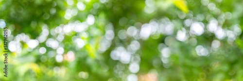 Panoramic Green bokeh on nature defocus art abstract blur background.Bluurry,circle,Defocused abstract background. © noon@photo