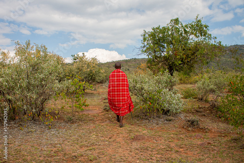 masai warrior walking through savannah in Masai Mara Kenya