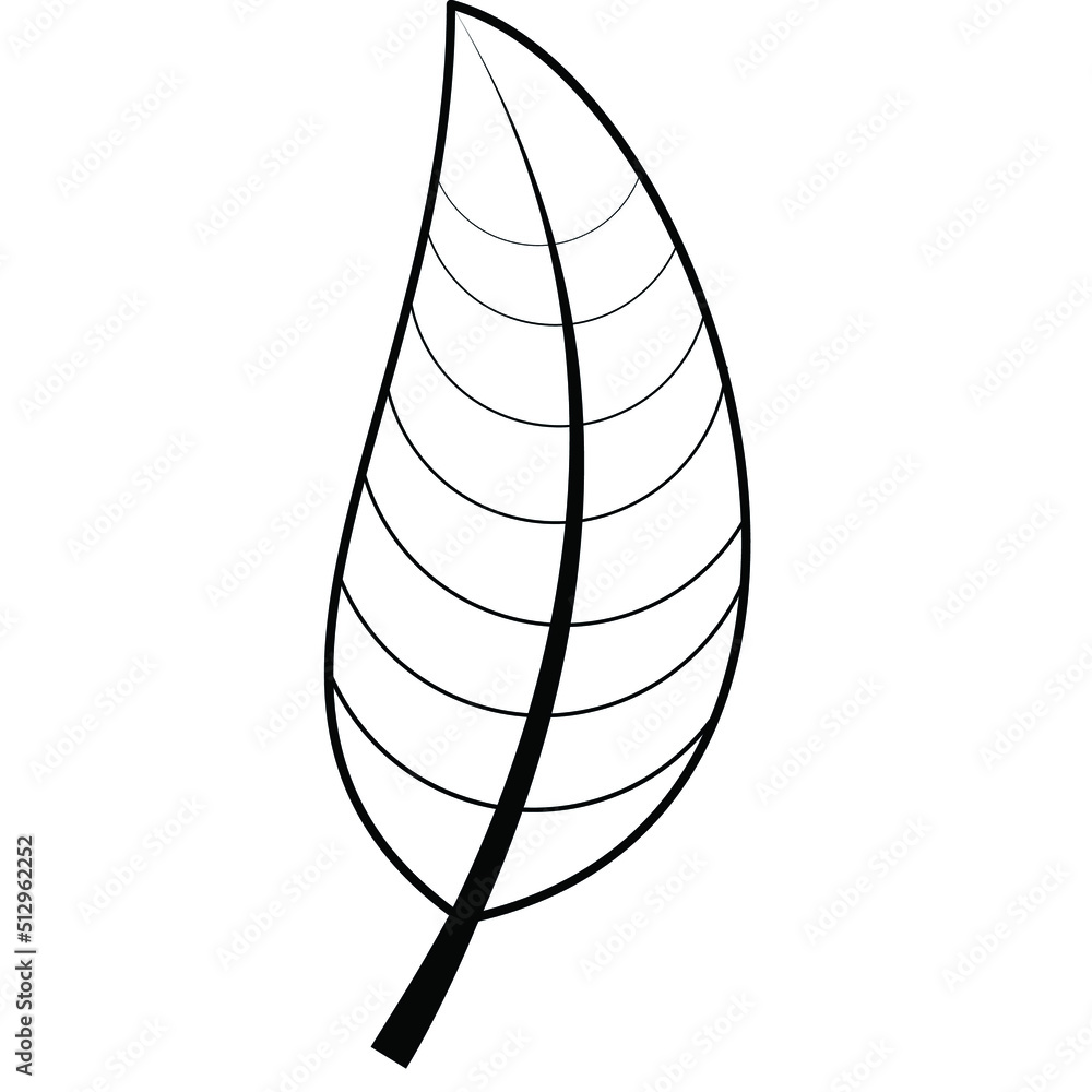 Contour drawing of a tree leaf Contour drawing of a tree leaf
