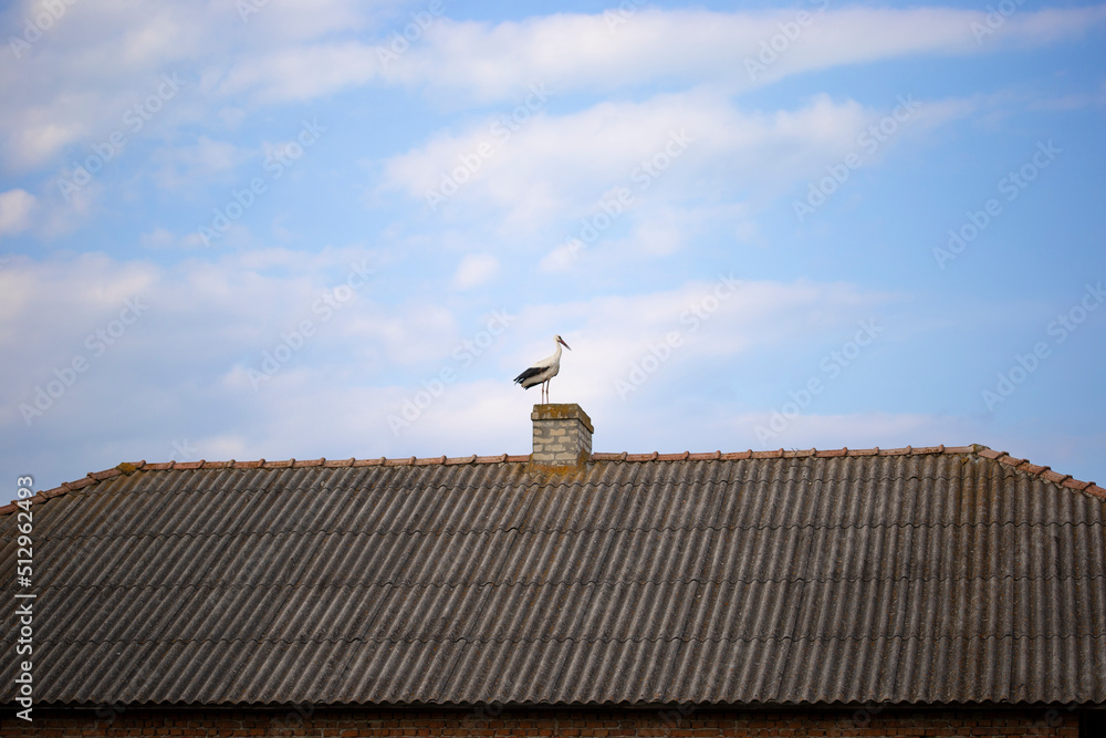 European white stork. The stork stands on the roof of the house in Ukraine. Colorful wild birds. Ukrainian village. Blue sky background. Summer. European white stork. The stork stands on the roof of the house in Ukraine. Colorful wild birds. Ukrainian village. Blue sky background. Summer.