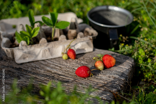 red strawberrys and egg tray with srtawberry germinated seed, sunset, wooden background photo