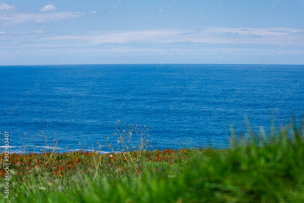 Background green lawn, sea, sky.