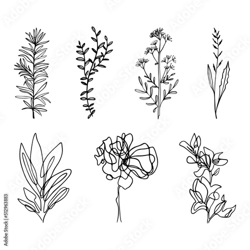 One Line Drawing Set Of Plants Black Sketch of Flowers Isolated on White Background. Flowers One Line Illustration. Minimalist Prints Set. Vector. Modern Single Line Art, Aesthetic Contour.