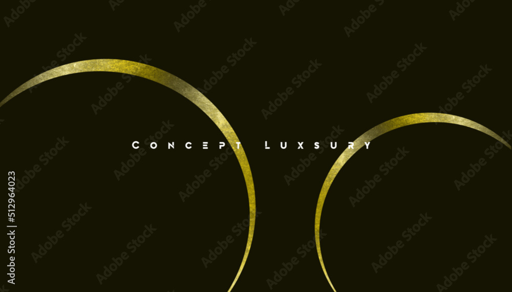 black and white background. Black premium background with luxury circles and geometric elements. Simple background for posters, banners, websites, flyers, etc. black and white background. Black premium background with luxury circles and geometric elements. Simple background for posters, banners, websites, flyers, etc.