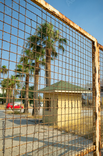 View metal fence  car palm building 