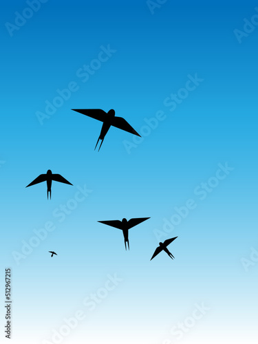 Swallows in the sky