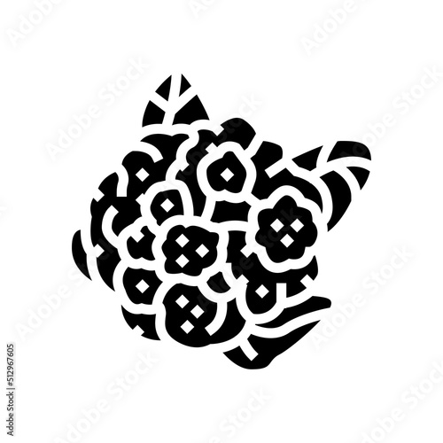 cauliflower cabbage glyph icon vector. cauliflower cabbage sign. isolated symbol illustration