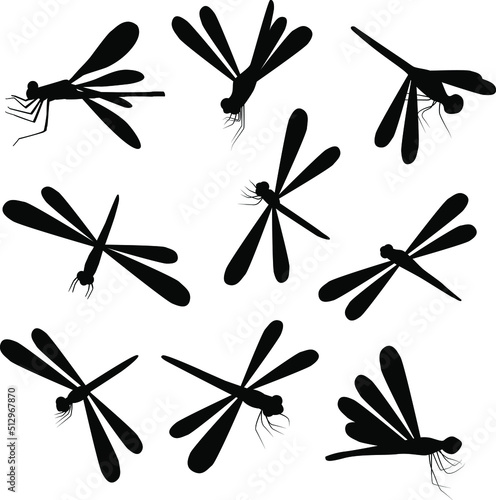 Vector dragonfly icons on isolated white