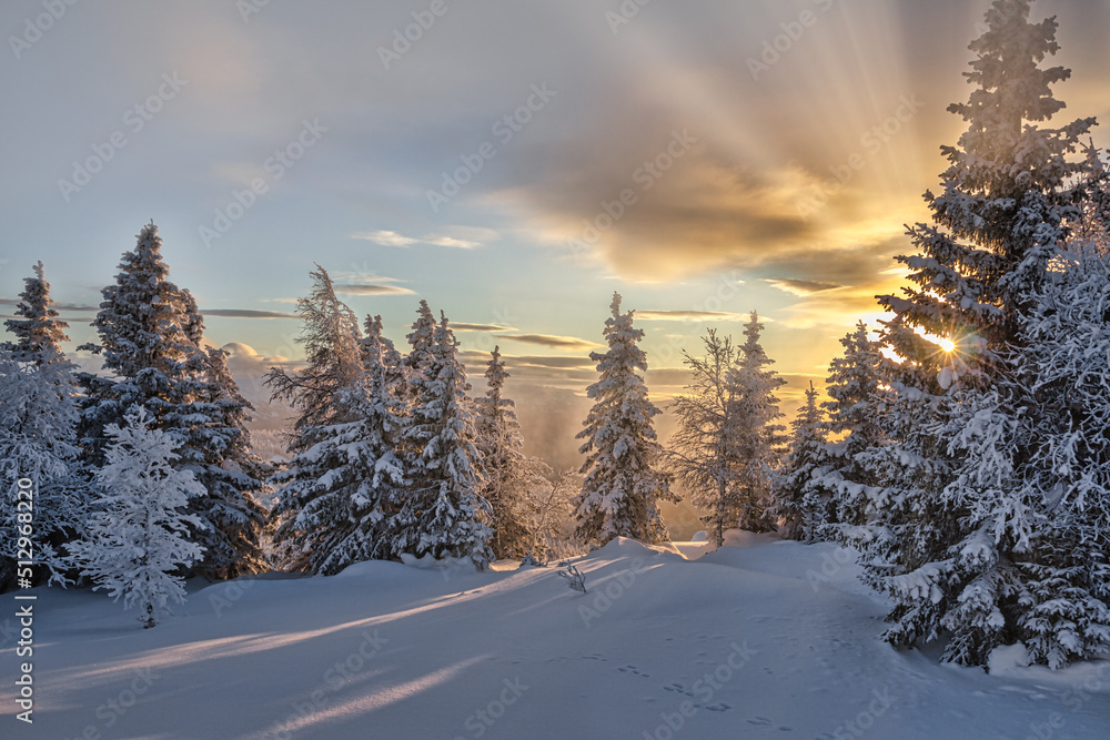 Obraz premium Wintertime