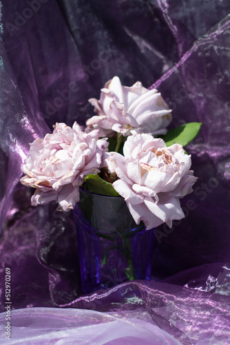 lilac roses in a blue glass on a chair against a background of purple chiffon photo