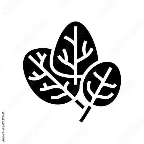 spinach plant glyph icon vector. spinach plant sign. isolated contour symbol black illustration