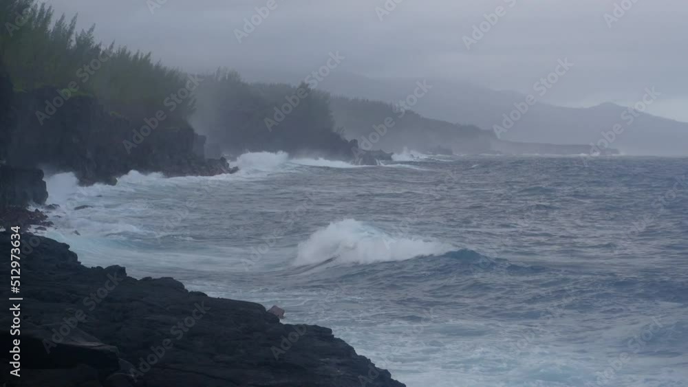 Saint-Philippe, Reunion, Volcanic garden rocks on Reunion Island. High quality FullHD footage Saint-Philippe, Reunion, Volcanic garden rocks on Reunion Island. High quality FullHD footage