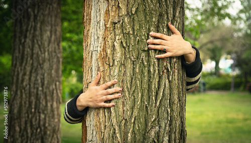 Hands of woman hugging tree trunk in forest. Protecting tree for environmental conservation