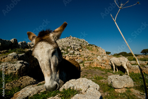 Santuario y Talayot Son Na Caçana, siglo X antes de Cristo. Alaior.Menorca.Balearic islands.Spain. photo